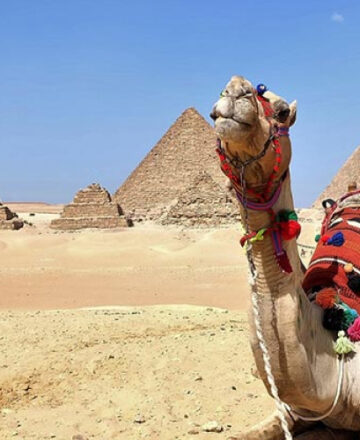 เที่ยวทะเลทรายอียิปต์