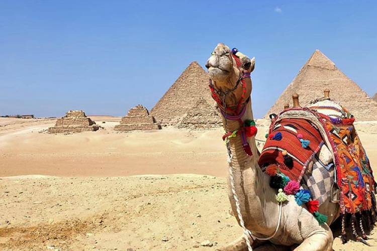 เที่ยวทะเลทรายอียิปต์